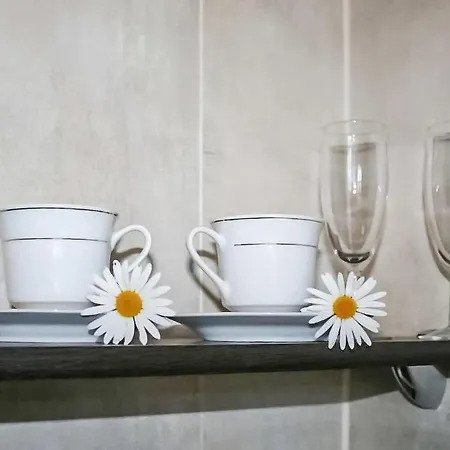 Pet Friendly In Brenna-gorki Male Gorki Male (Silesia)